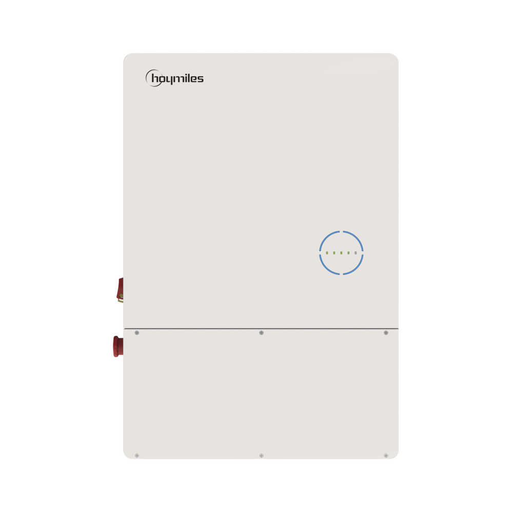 9.6kW Hybrid Grid-Tie Inverter for CFE Grid Connection with 220Vac Output. HOYMILES