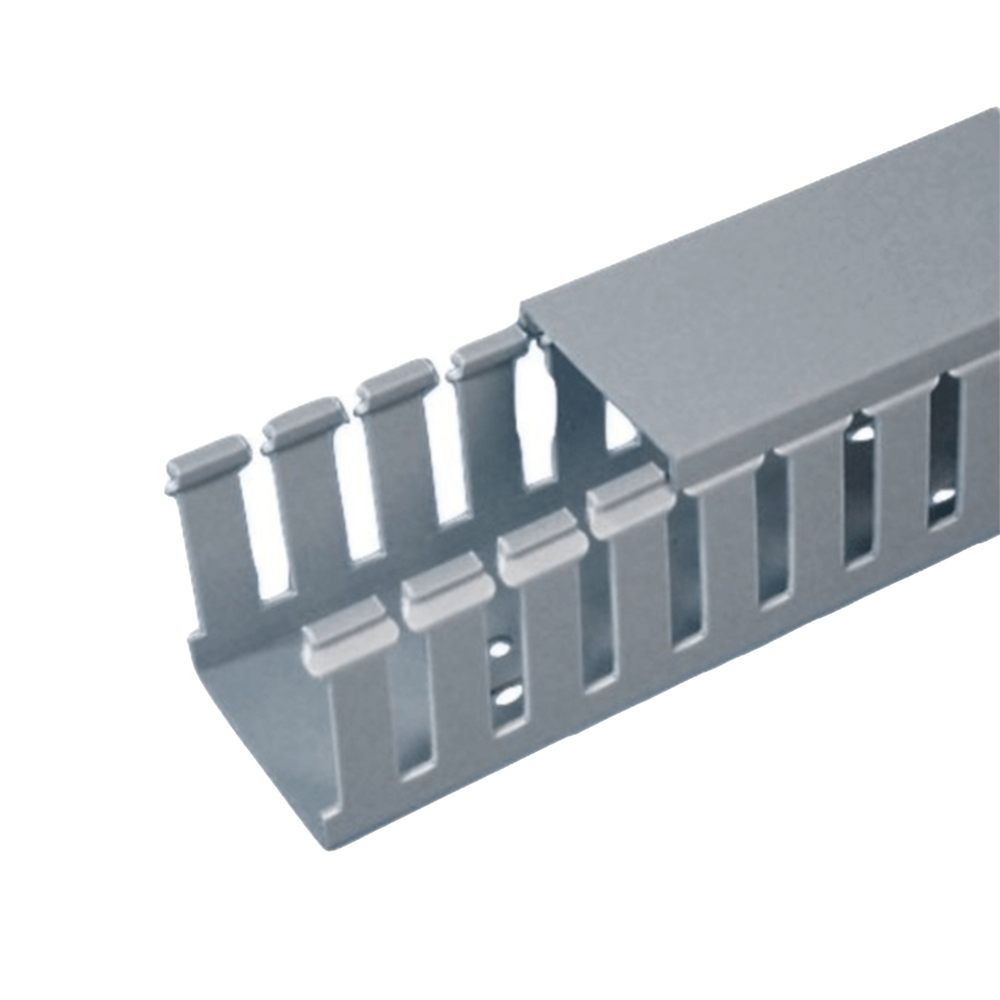 [FC2X2LG2] Canaleta Ranurada de PVC con Tapa, Tipo F, 57.2 mm de Ancho, 53.8 mm de Alto y 2 m de Largo, Color Gris PANDUIT
